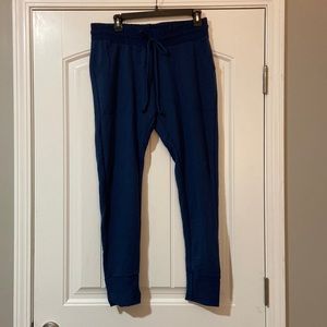 NWT Free People Movement Navy Joggers